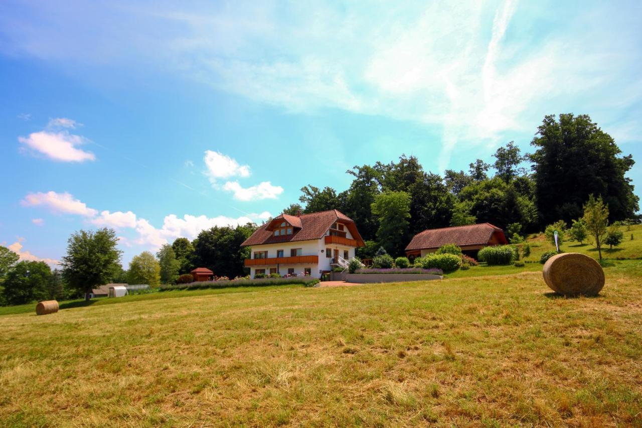 Villa Katarina Mokronog Экстерьер фото