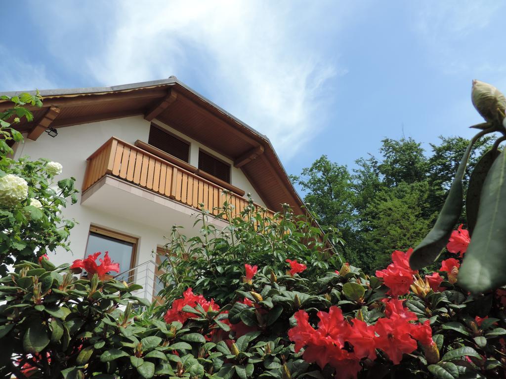 Villa Katarina Mokronog Экстерьер фото