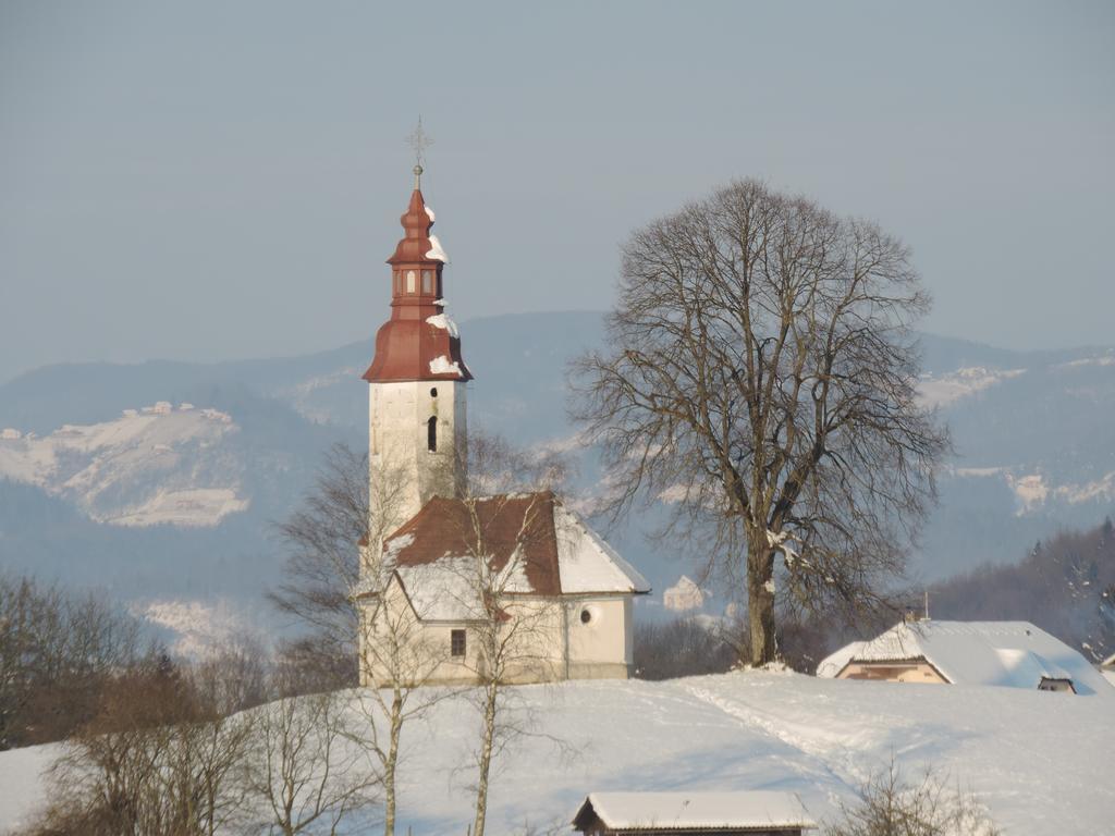 Villa Katarina Mokronog Экстерьер фото