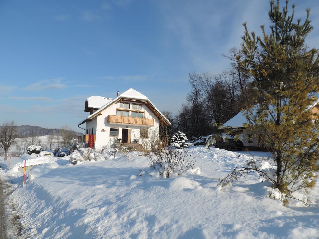 Villa Katarina Mokronog Экстерьер фото