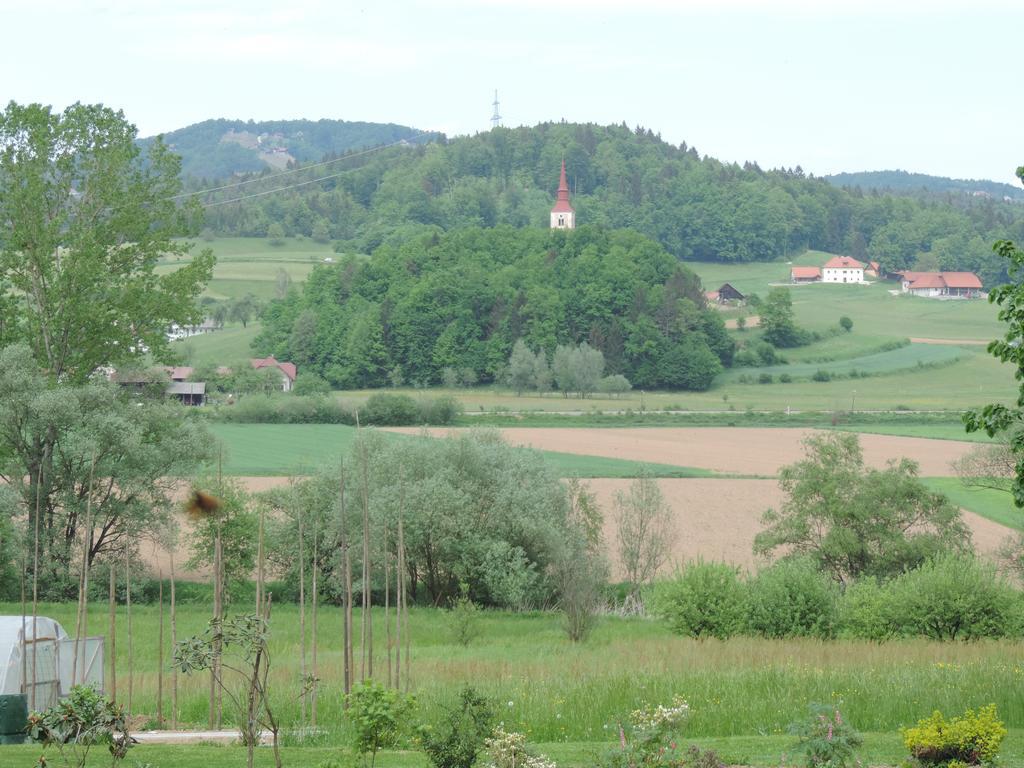 Villa Katarina Mokronog Экстерьер фото